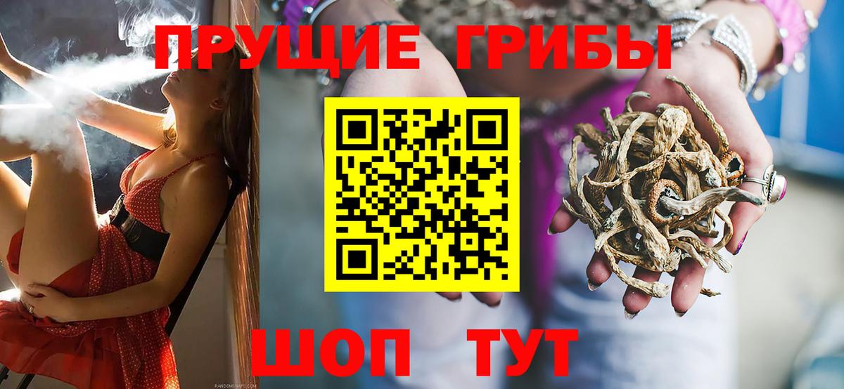 Пугачёв  Псилоцибиновые грибы GOLDEN TEACHER  Псилоцибиновые грибы ЛСД  Вход с VPN 