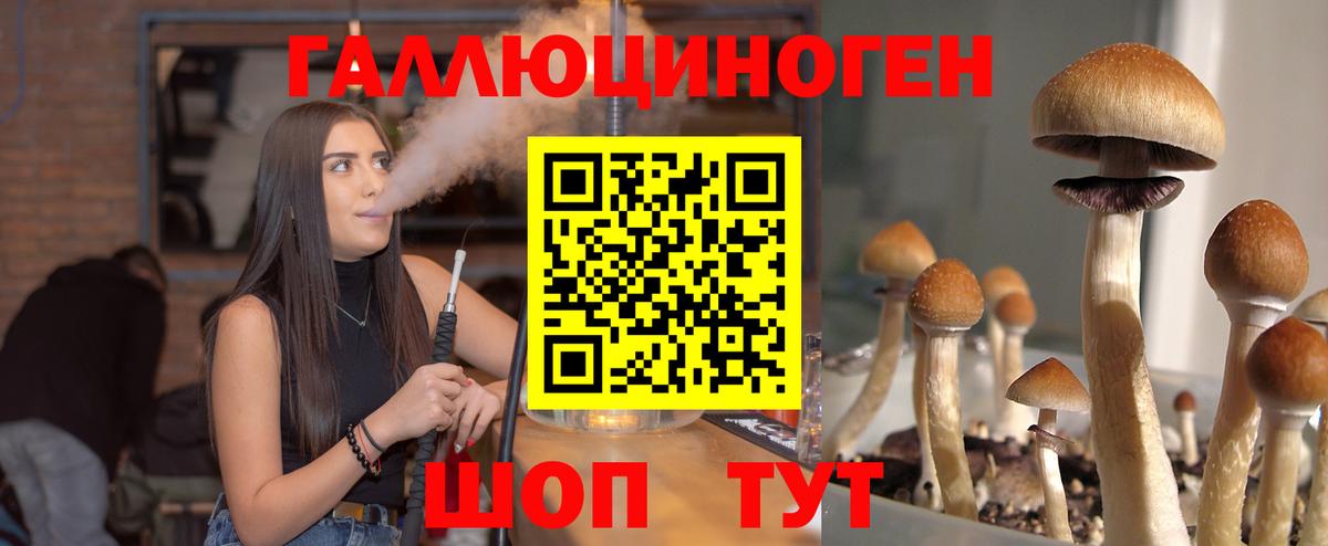 Галлюциногенные грибы Psilocybine cubensis Пугачёв